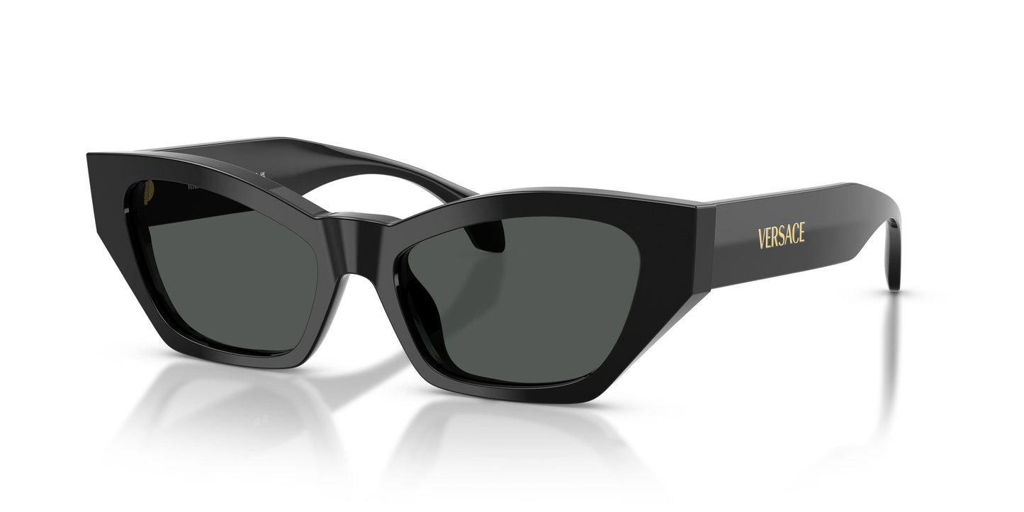 Versace VE4488U  GB1/87 53