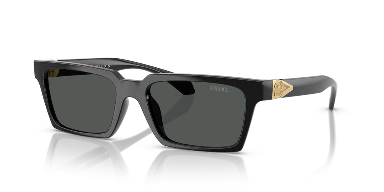 Versace VE4490U  GB1/87 55