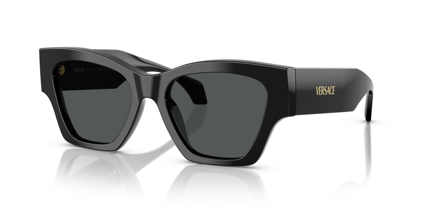 Versace VE4492U  GB1/87 53