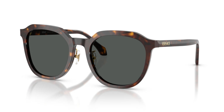 Versace VE4493D  108/87 55