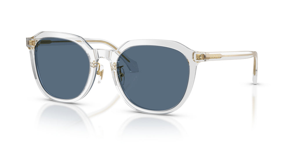 Versace VE4493D  551971 55