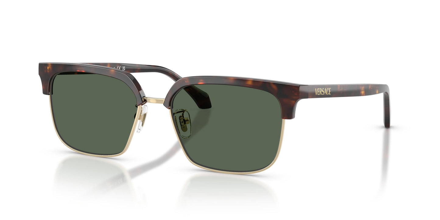 Versace VE4494D  108/71 56