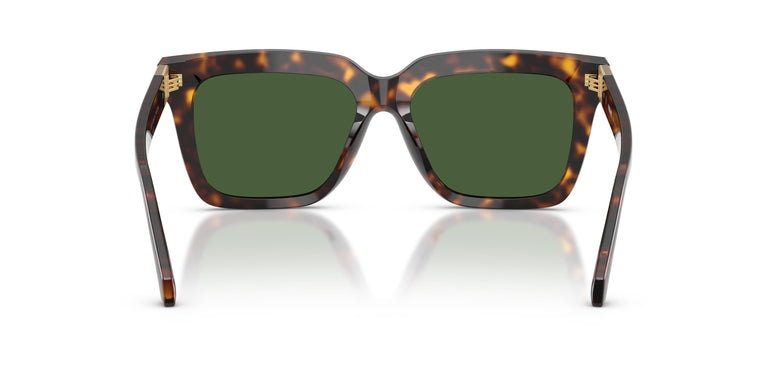 Versace VE4498 108/71 55