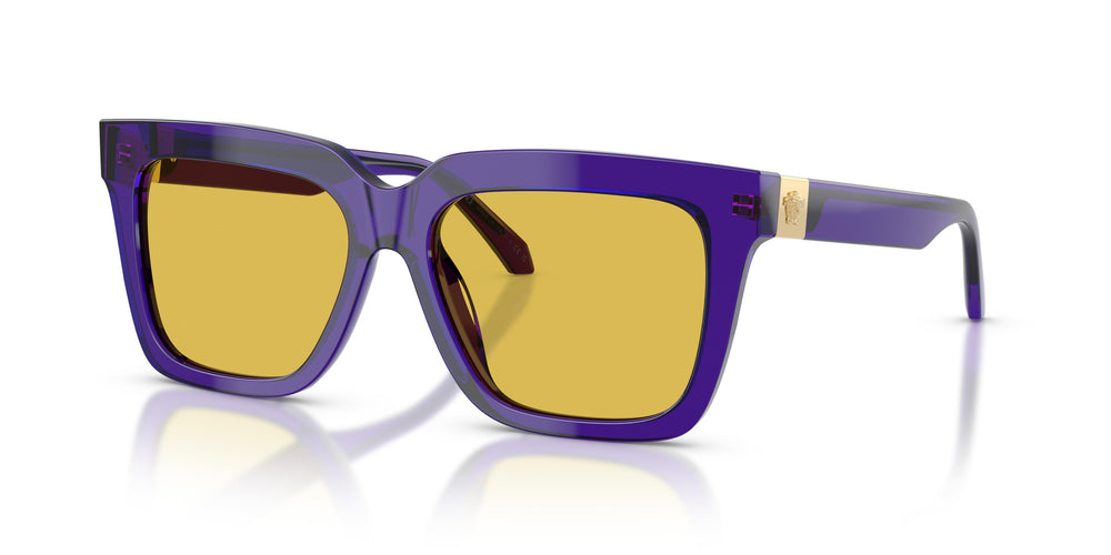 Versace VE4498 554585 55