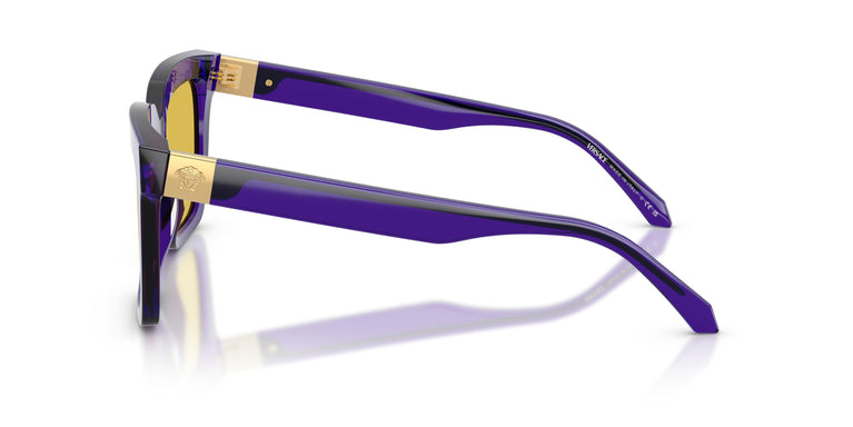 Versace VE4498 554585 55