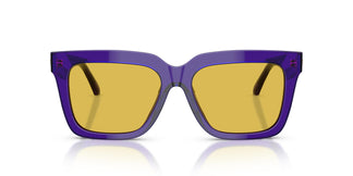 Versace VE4498 554585 55