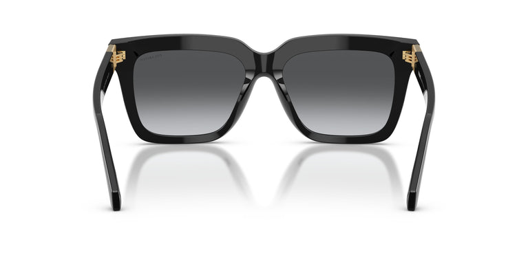 Versace VE4498 GB1/T3 55