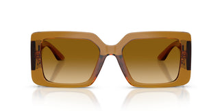 Versace VE4505U 53422L 55