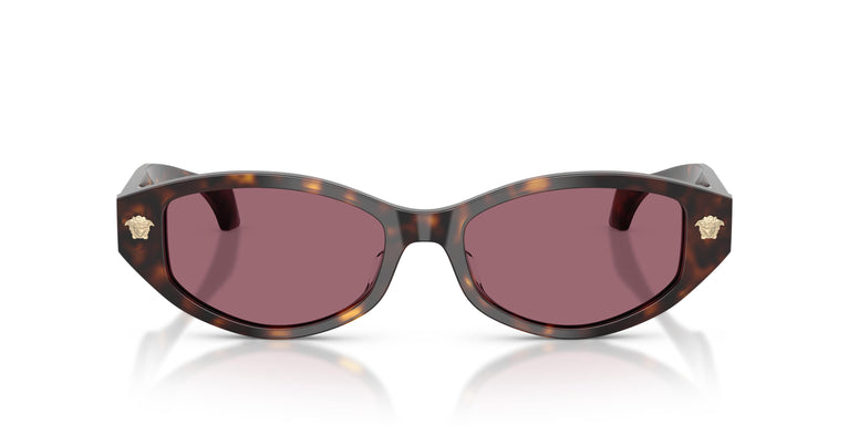 Versace VE4512D 108/1A 54