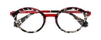 WooW HOLI DAYS 1 2530 48