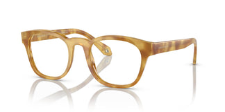 Giorgio Armani AR7242 5979 51