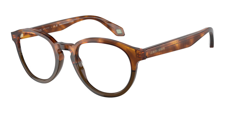 Giorgio Armani AR7248 5988 48