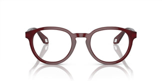 Giorgio Armani AR7248 6045 50