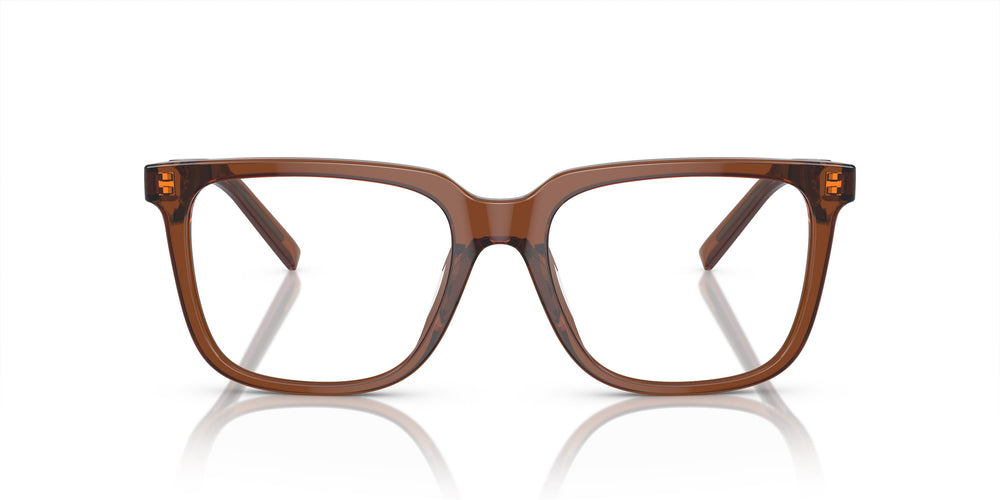 Giorgio Armani AR7252U 6049 53