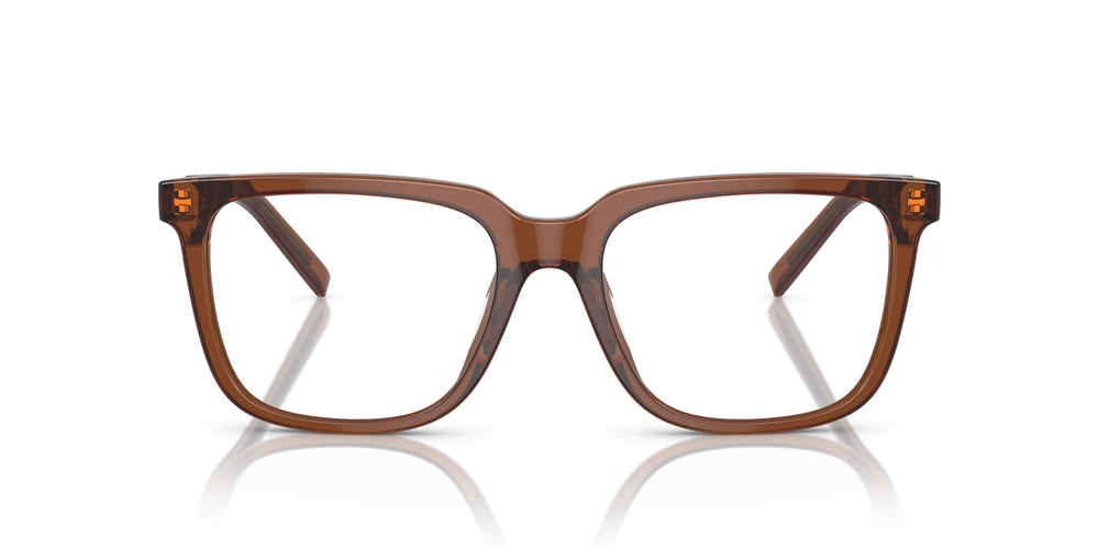 Giorgio Armani AR7252U 6049 55