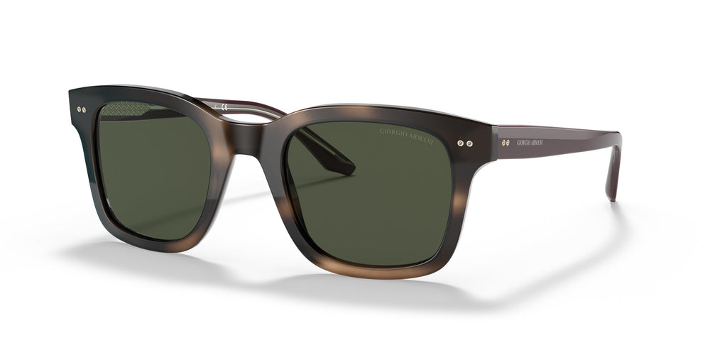 Giorgio Armani AR8138 573431 51