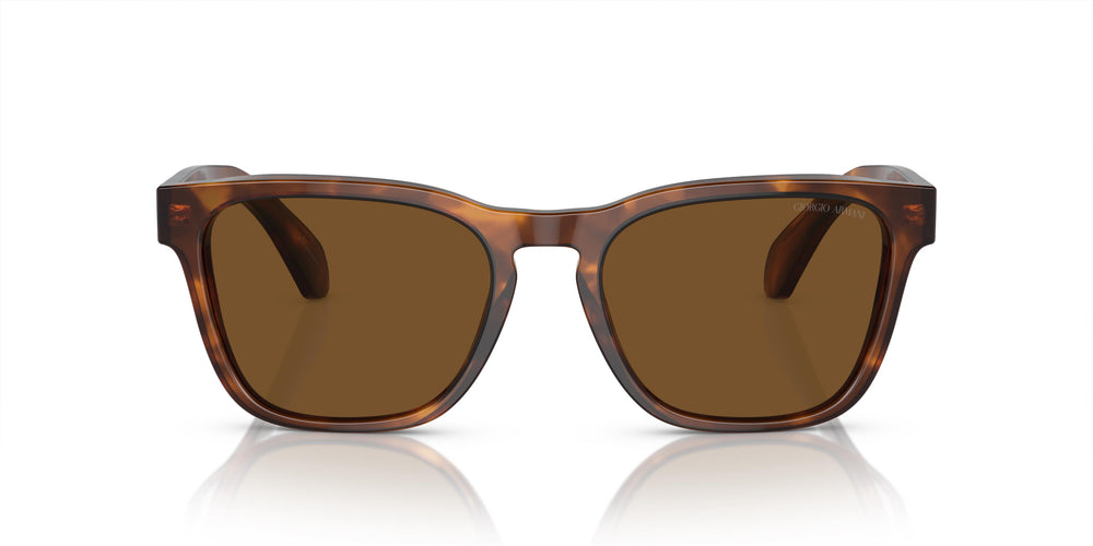 Giorgio Armani AR8155 598857 55