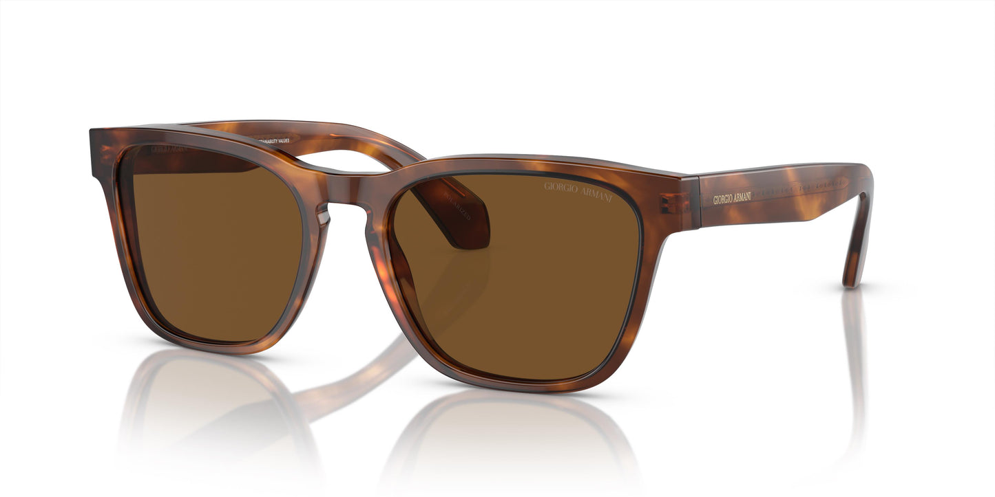 Giorgio Armani AR8155 598857 55
