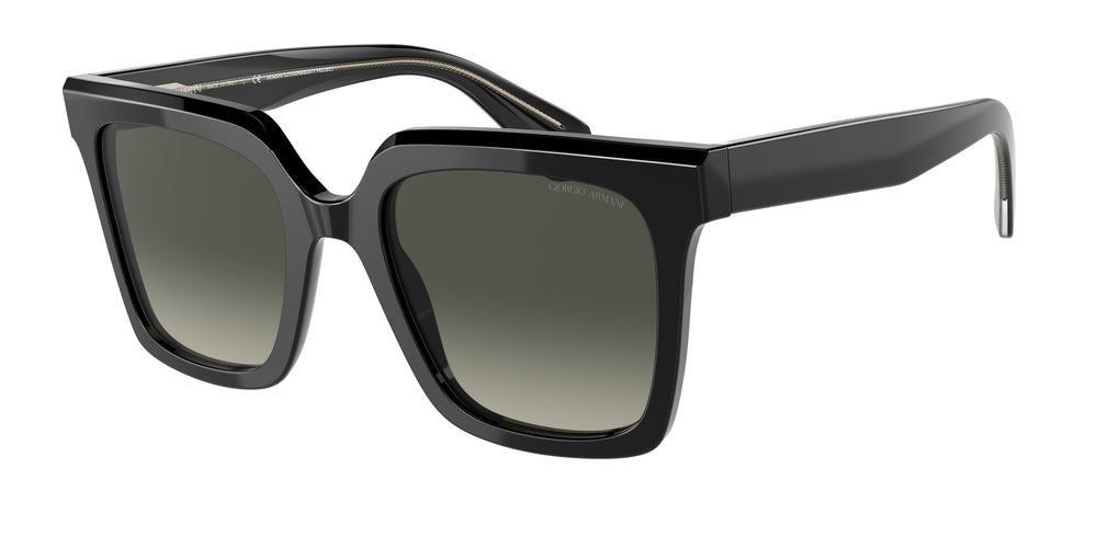 Giorgio Armani AR8156 587571 52