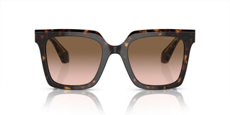 Giorgio Armani AR8156 587951 52