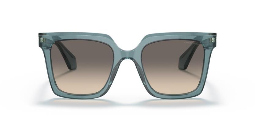 Giorgio Armani AR8156 593432 52