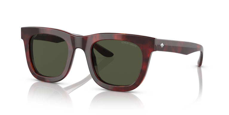 Giorgio Armani AR8171 596231 49