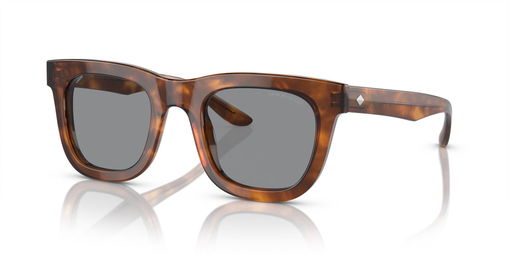 Giorgio Armani AR8171 598802 49
