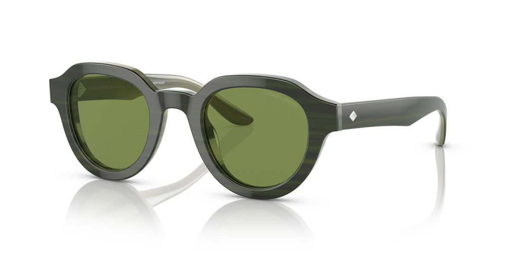 Giorgio Armani AR8172U 59714E 46