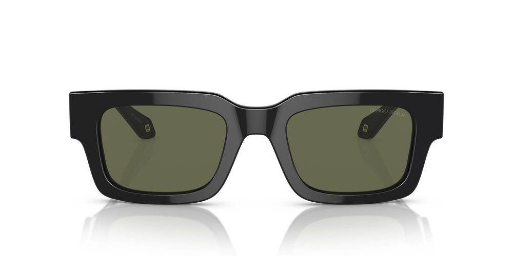 Giorgio Armani AR8184U 587558 52