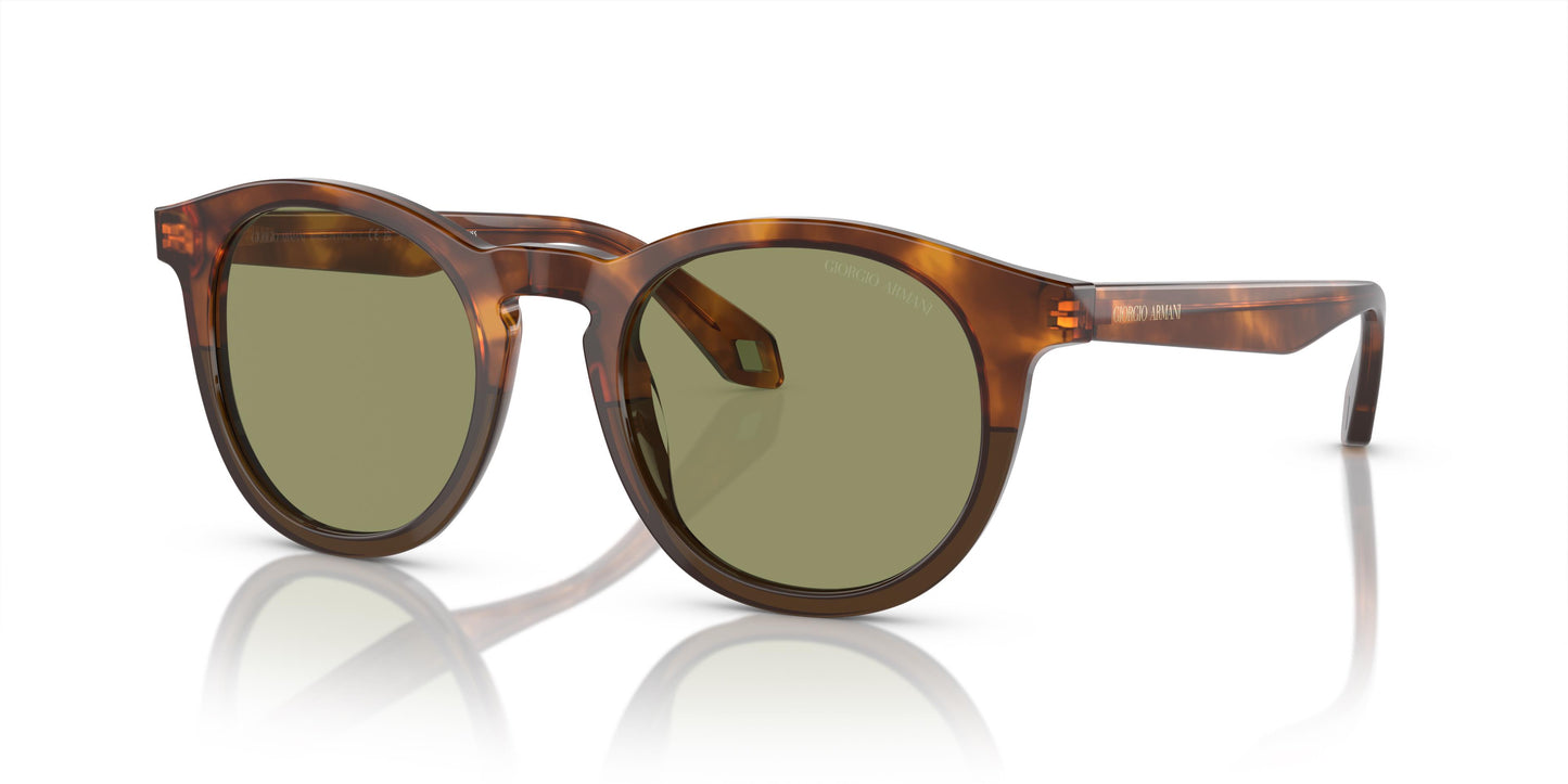 Giorgio Armani AR8192 598814 50