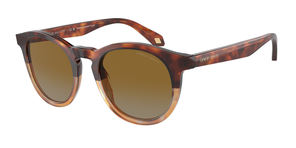 Giorgio Armani AR8192 6034B2 50
