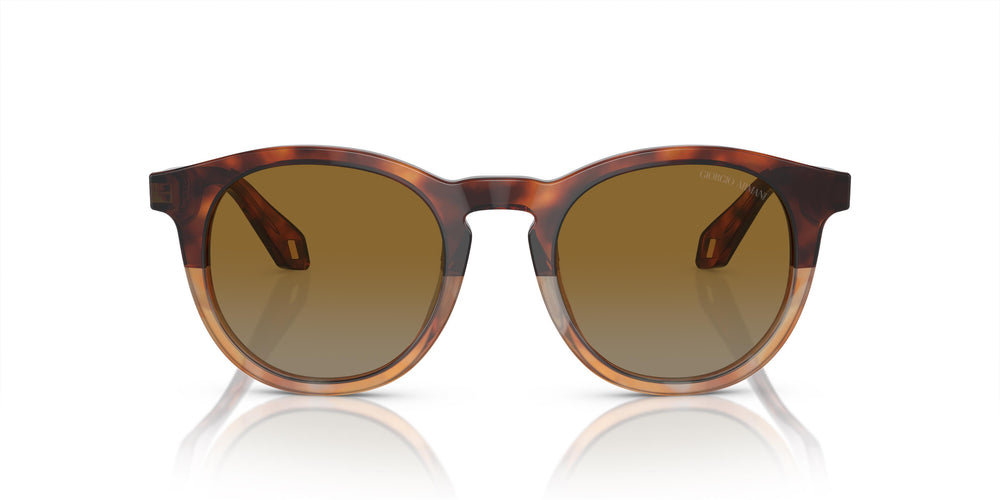 Giorgio Armani AR8192 6034B2 50