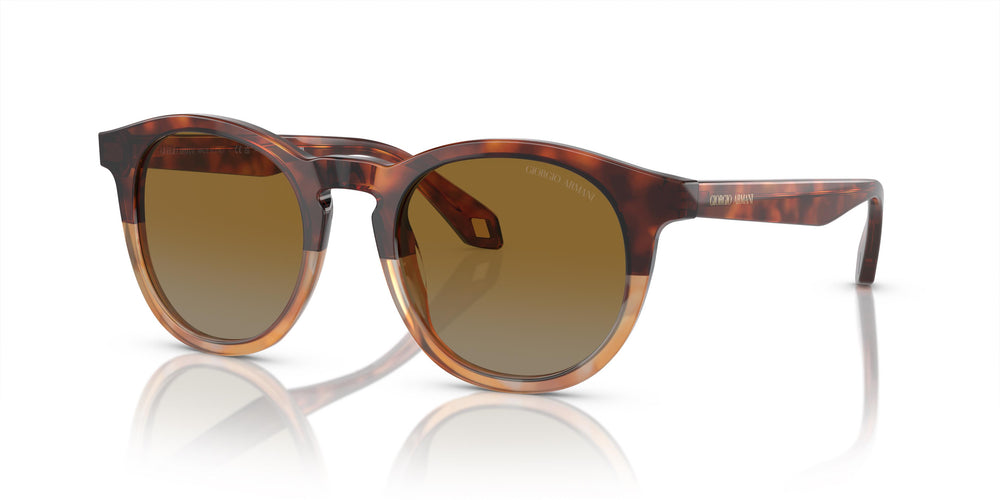Giorgio Armani AR8192 6034B2 50