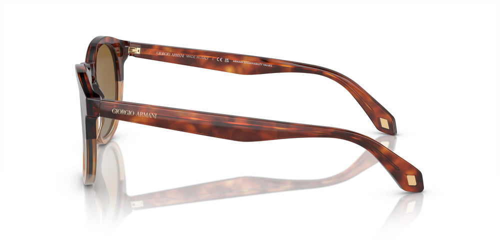 Giorgio Armani AR8192 6034B2 50