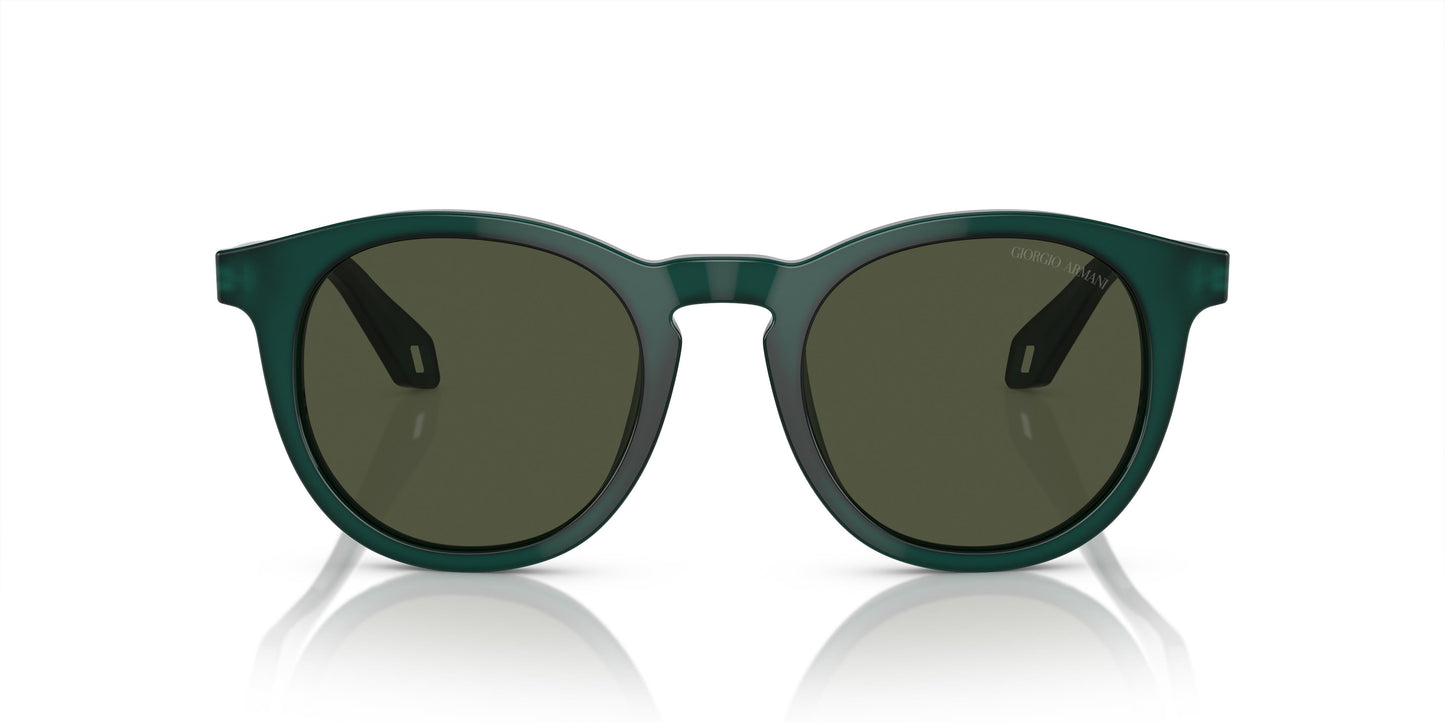 Giorgio Armani AR8192 604431 50