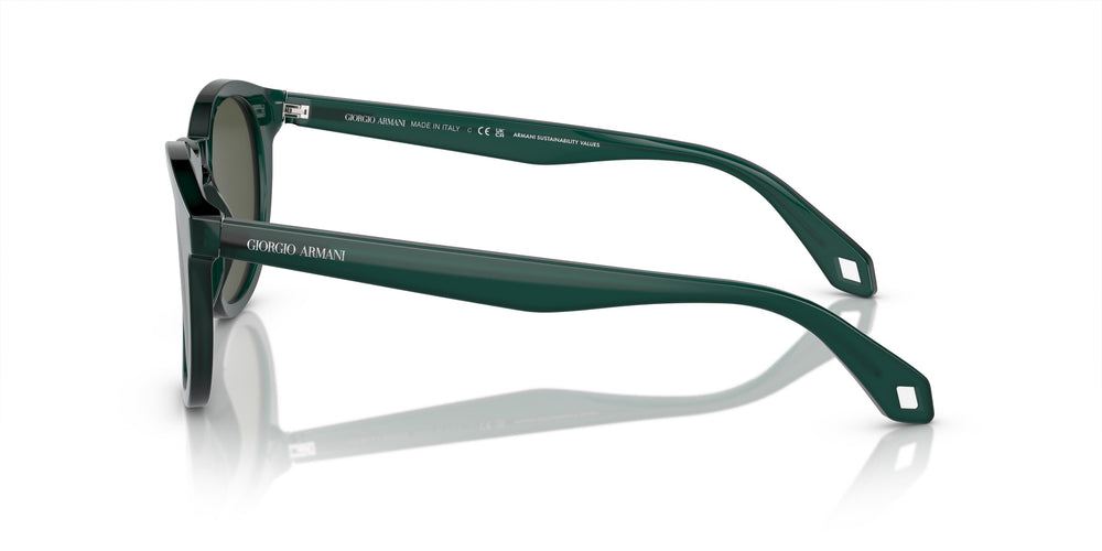 Giorgio Armani AR8192 604431 50