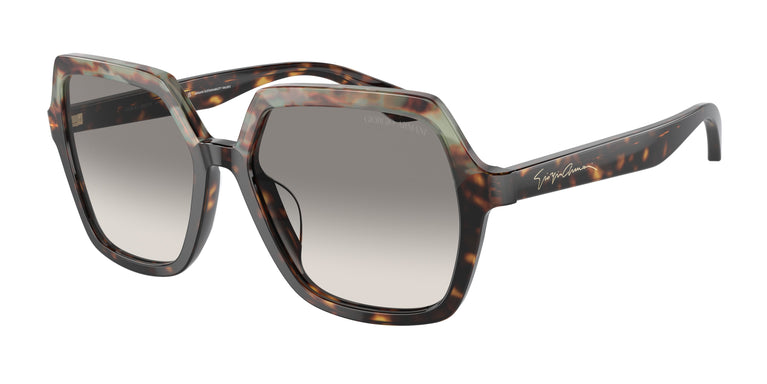 Giorgio Armani AR8193U 587932 55