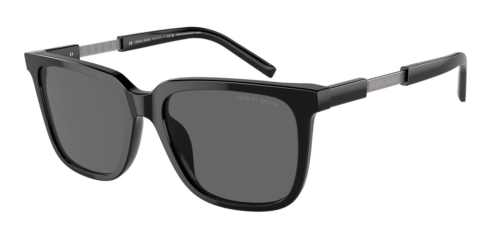 Giorgio Armani AR8202U 587587 55