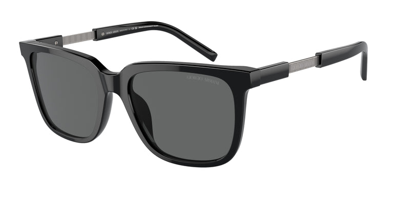 Giorgio Armani AR8202U 587587 55