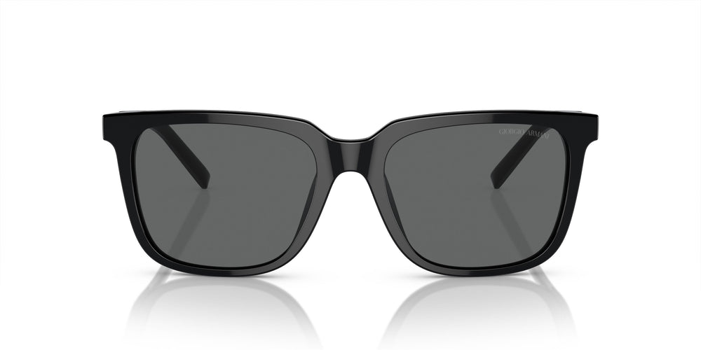 Giorgio Armani AR8202U 587587 55