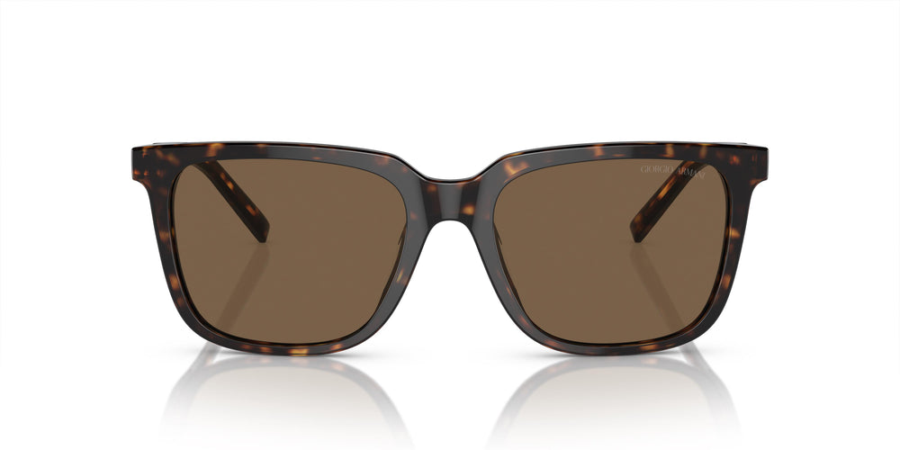 Giorgio Armani AR8202U 587973 55