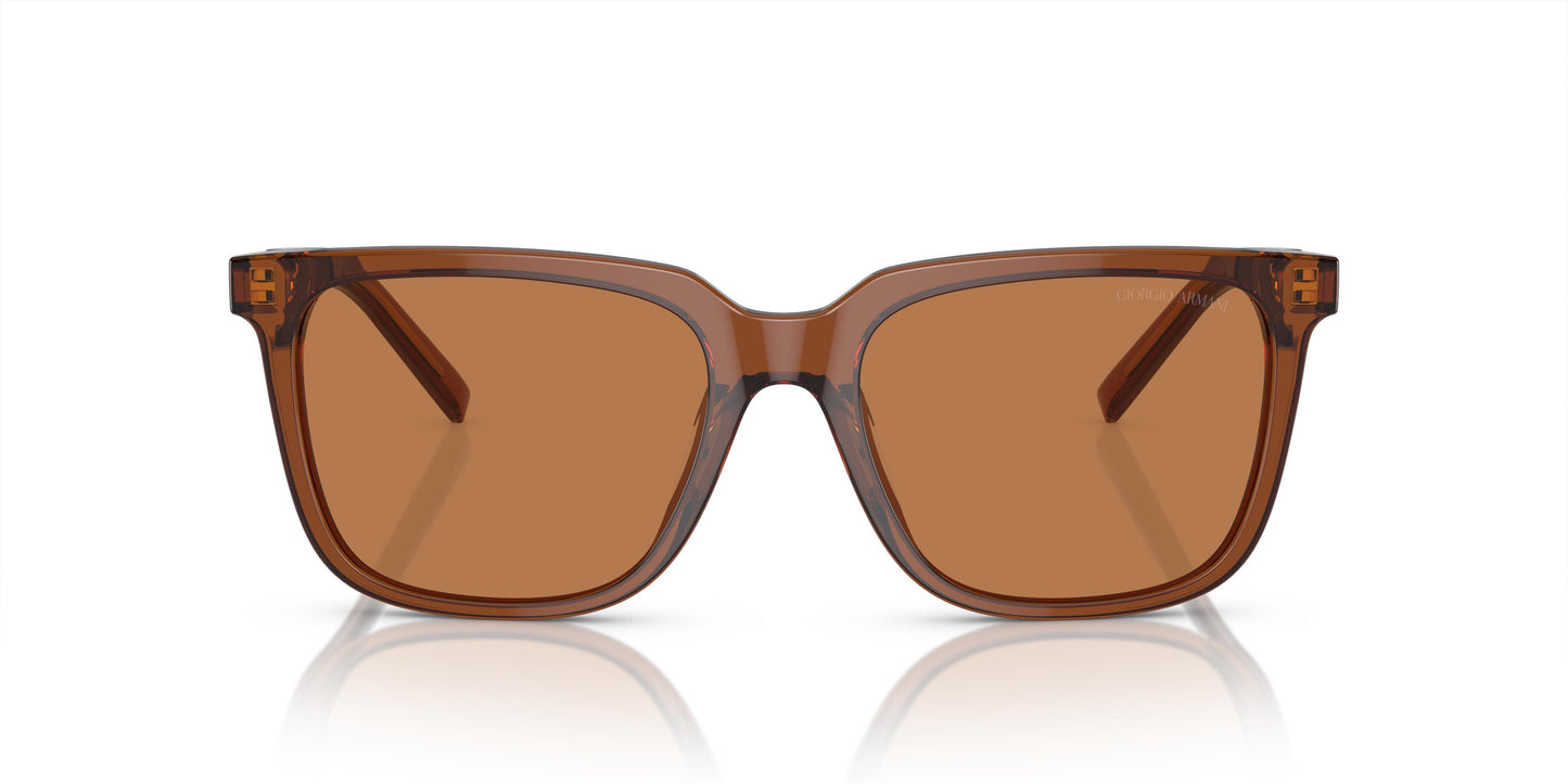 Giorgio Armani AR8202U 604973 55