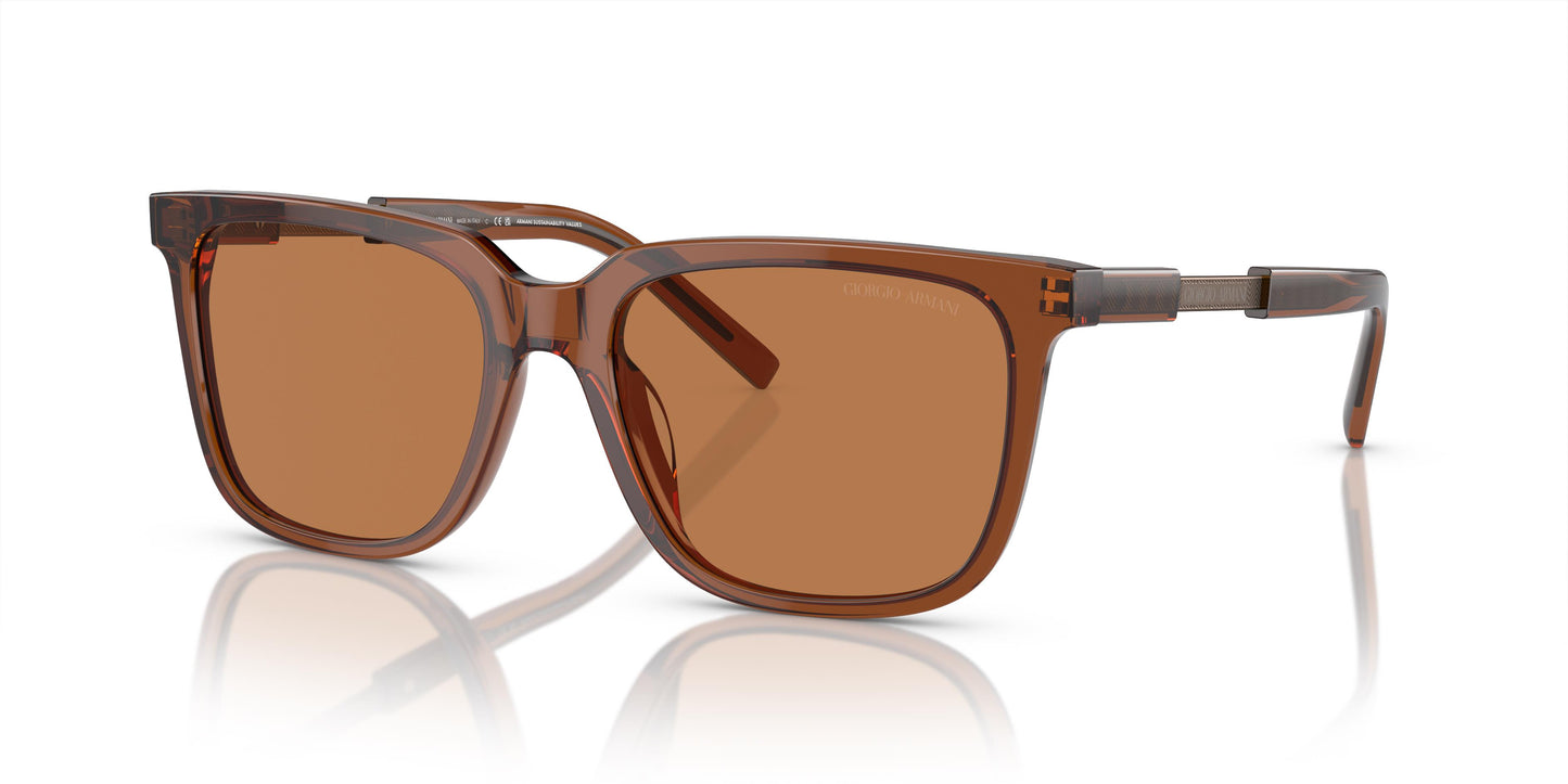 Giorgio Armani AR8202U 604973 55
