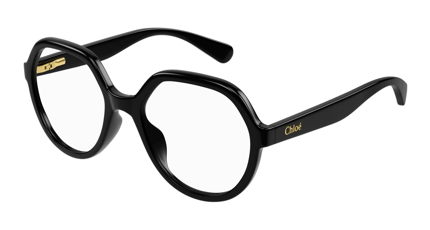 Chloé CC0020O 001 48