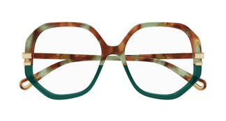 Chloé CH0107O 013 54