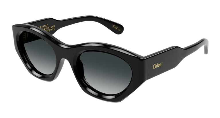 Chloé CH0220S 001 53