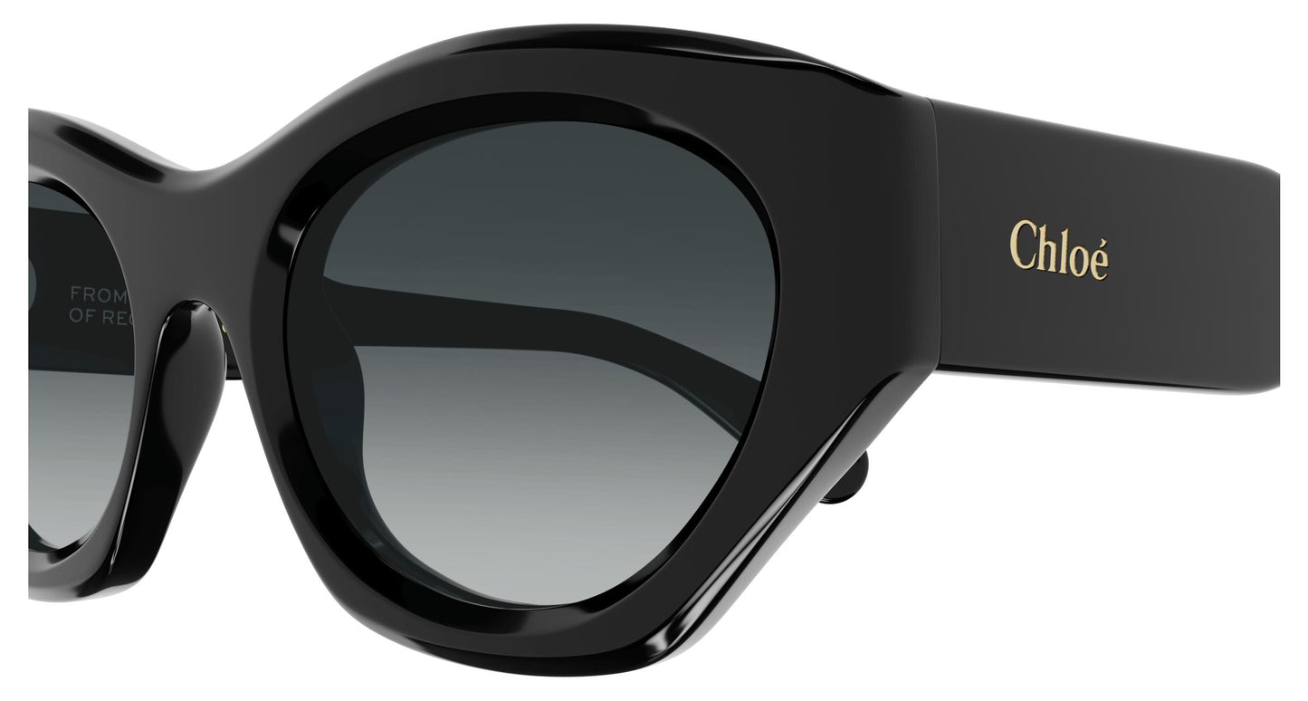 Chloé CH0220S 001 53