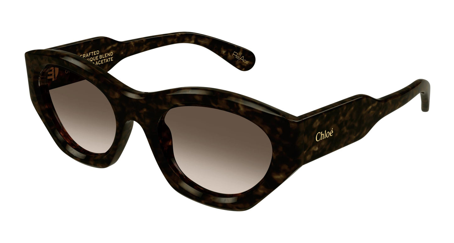 Chloé CH0220S 002 53