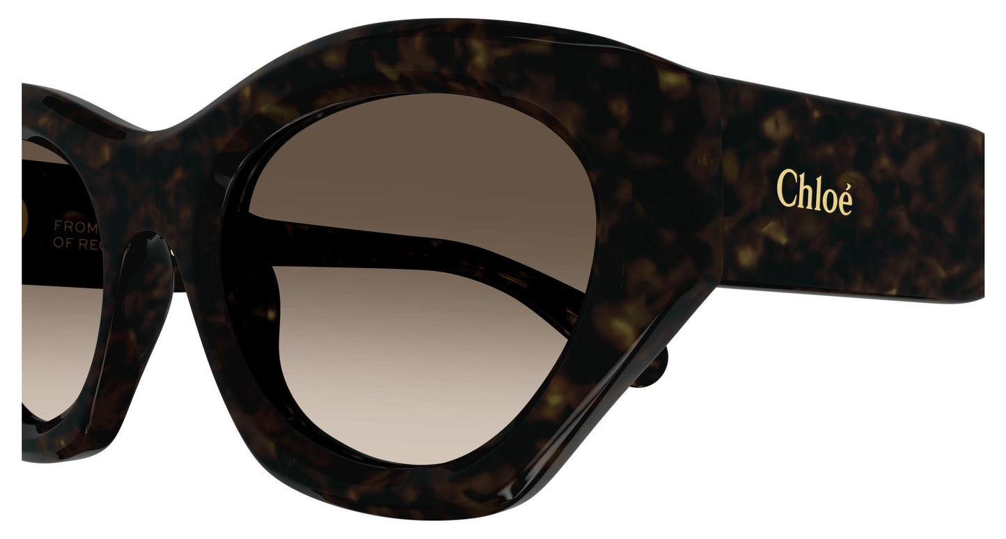 Chloé CH0220S 002 53