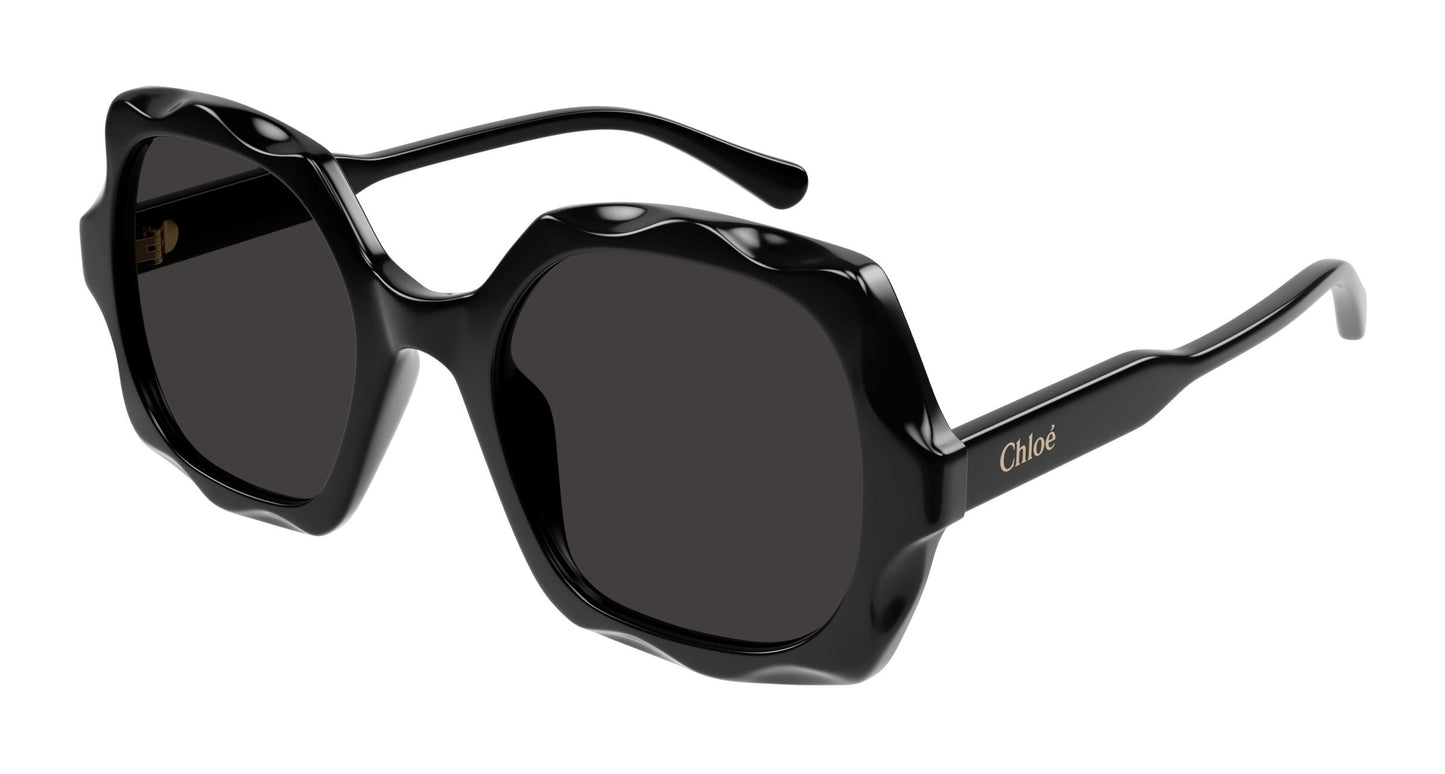 Chloé CH0226S 005 53